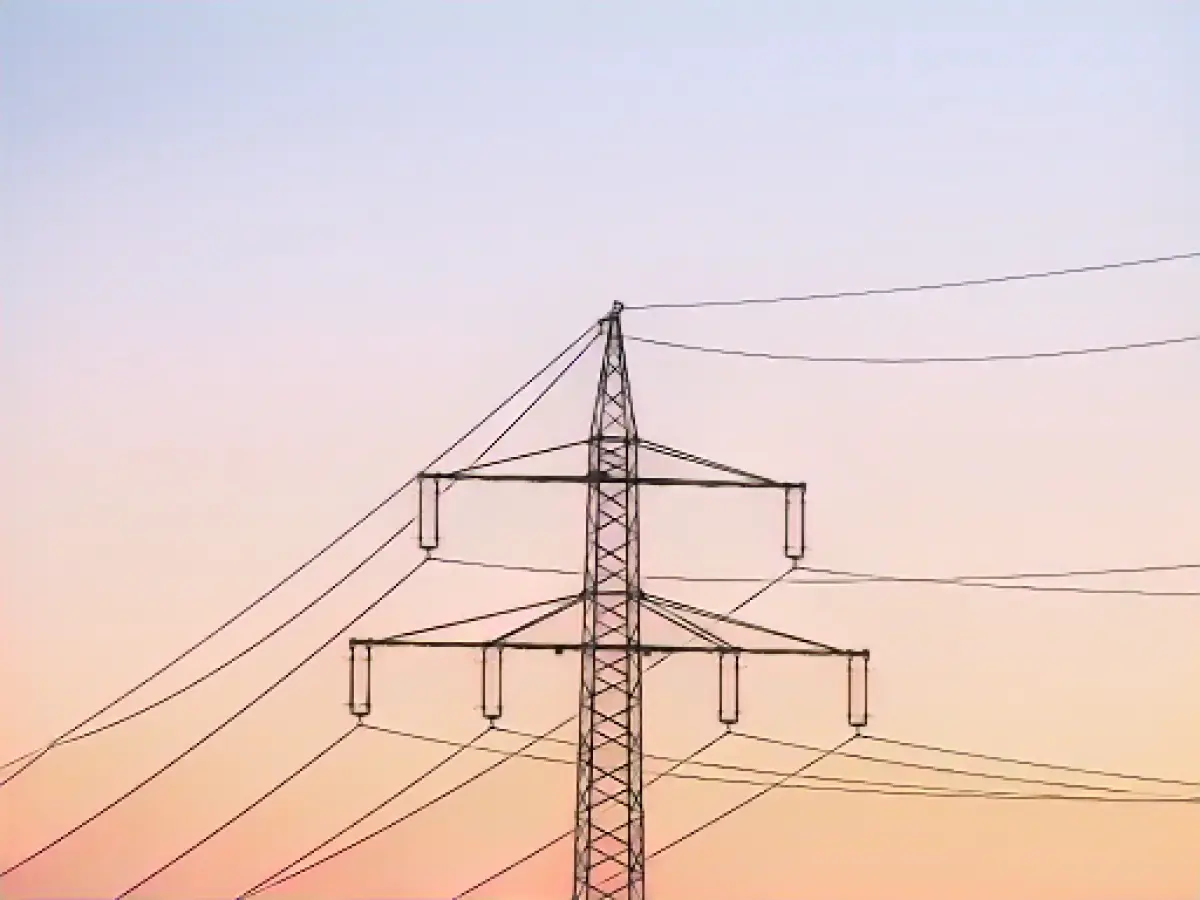 Electricity tax cut for industry more expensive than planned