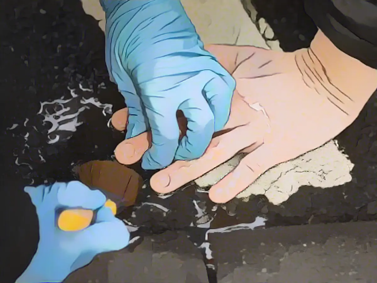 Investigations into incidents at climate demonstrations continue