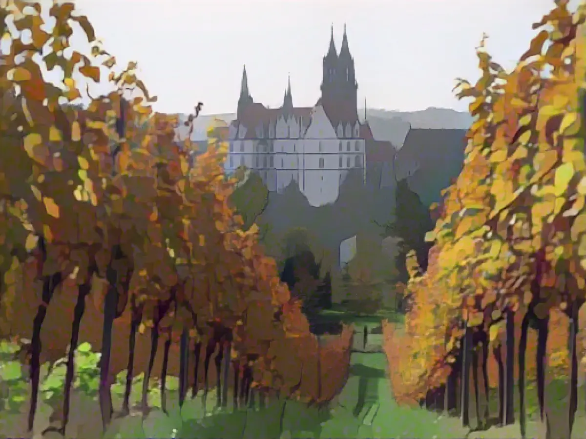 Cold weather for Saxony, Saxony-Anhalt and Thuringia