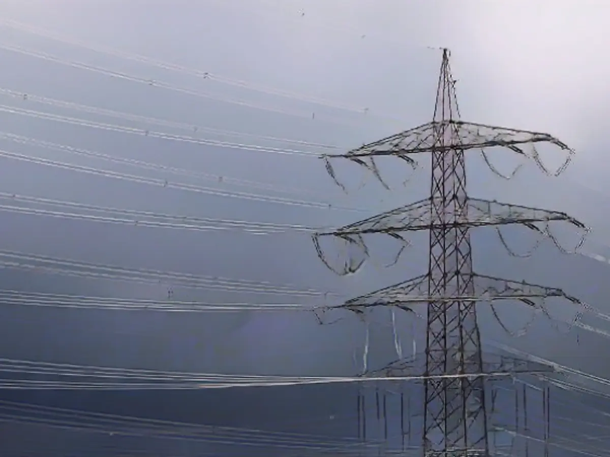 Federal government sticks to expensive purchase of grid operator Tennet