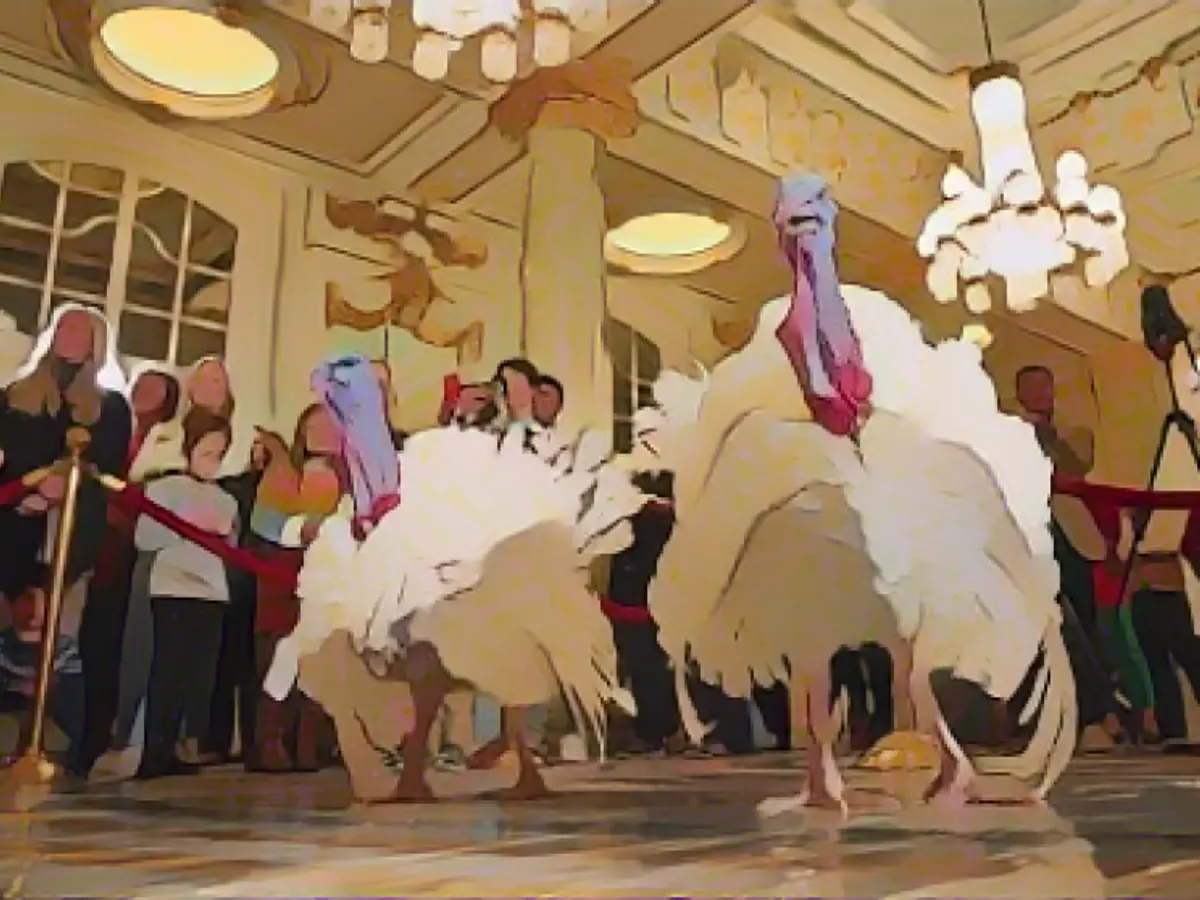 What are these turkeys doing in the luxury hotel?