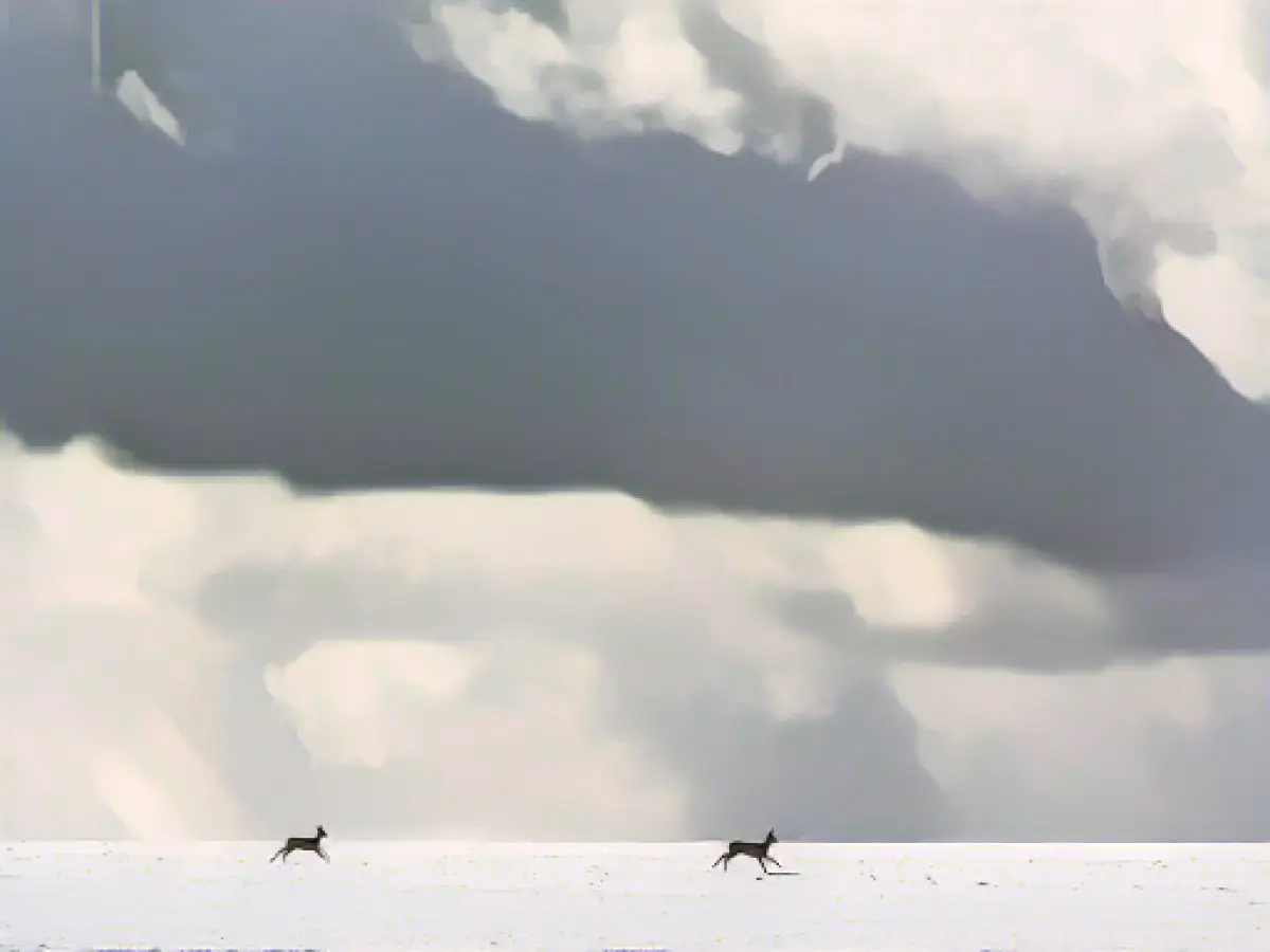 Mild start to the week in Bavaria: snow in the middle of the week