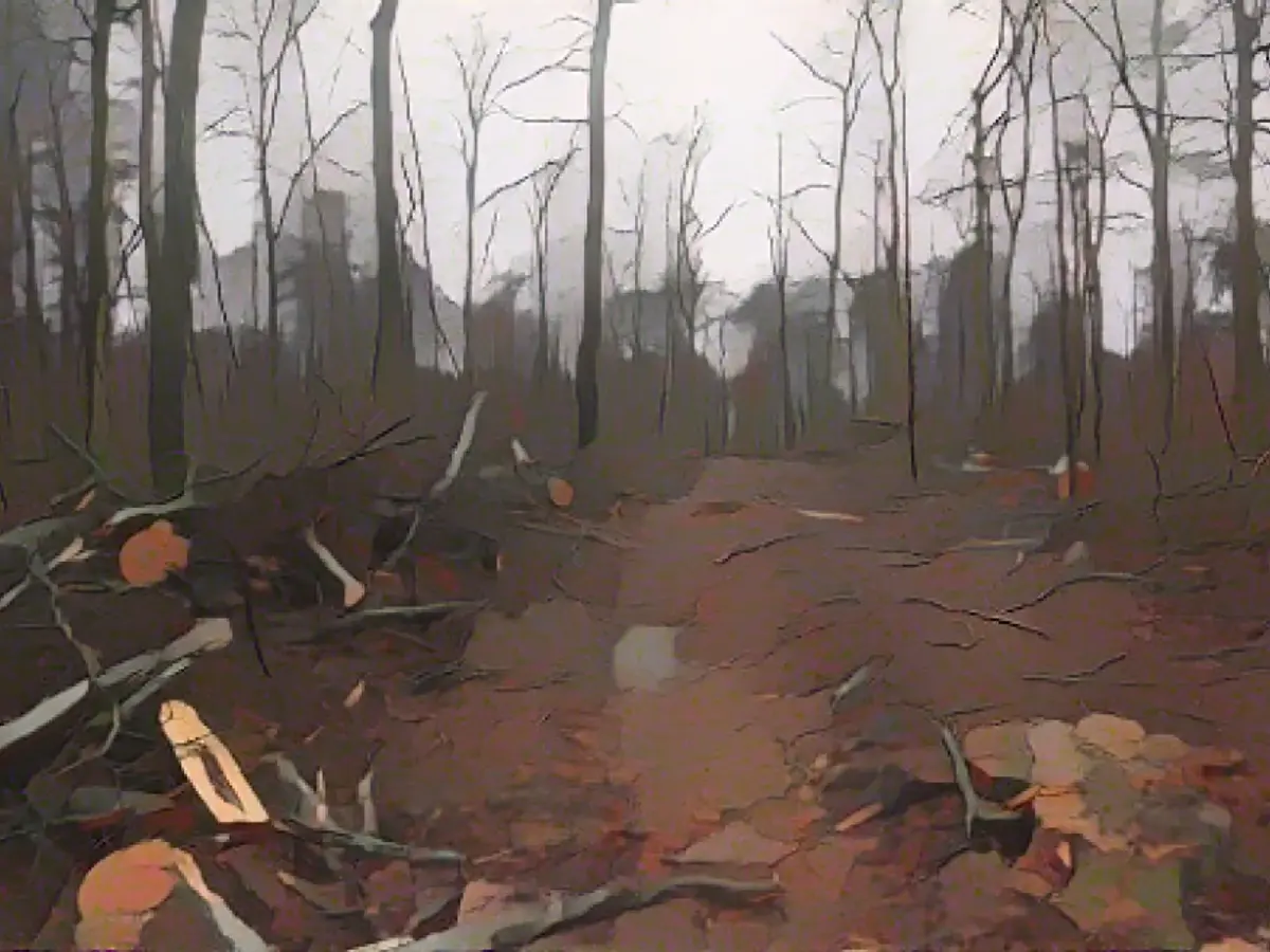 Clear-cutting harms the Saar forest