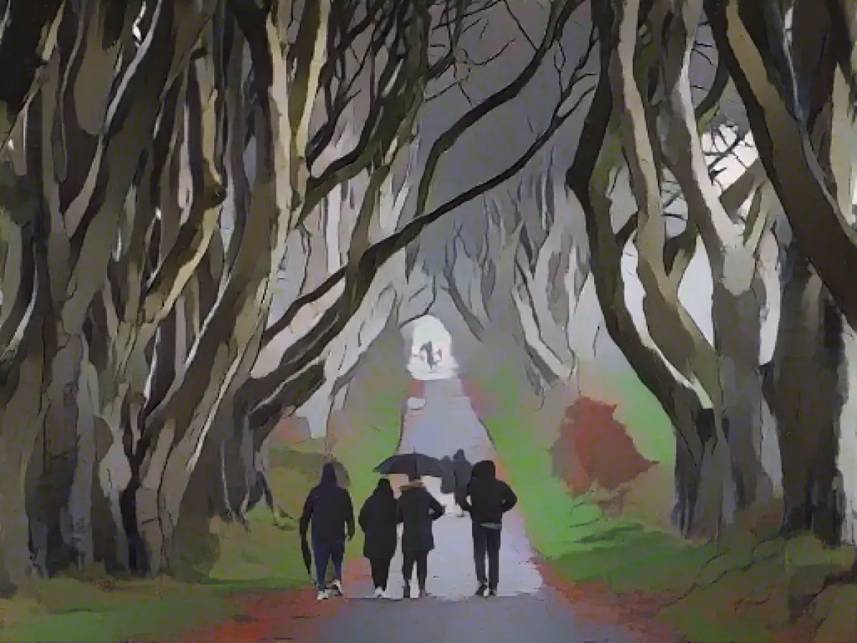 Six beech trees in "Game of Thrones" avenue are felled