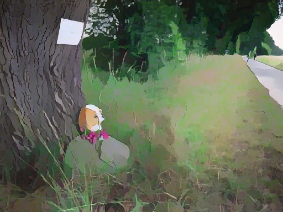 Driver charged after fatal wheel loader accident