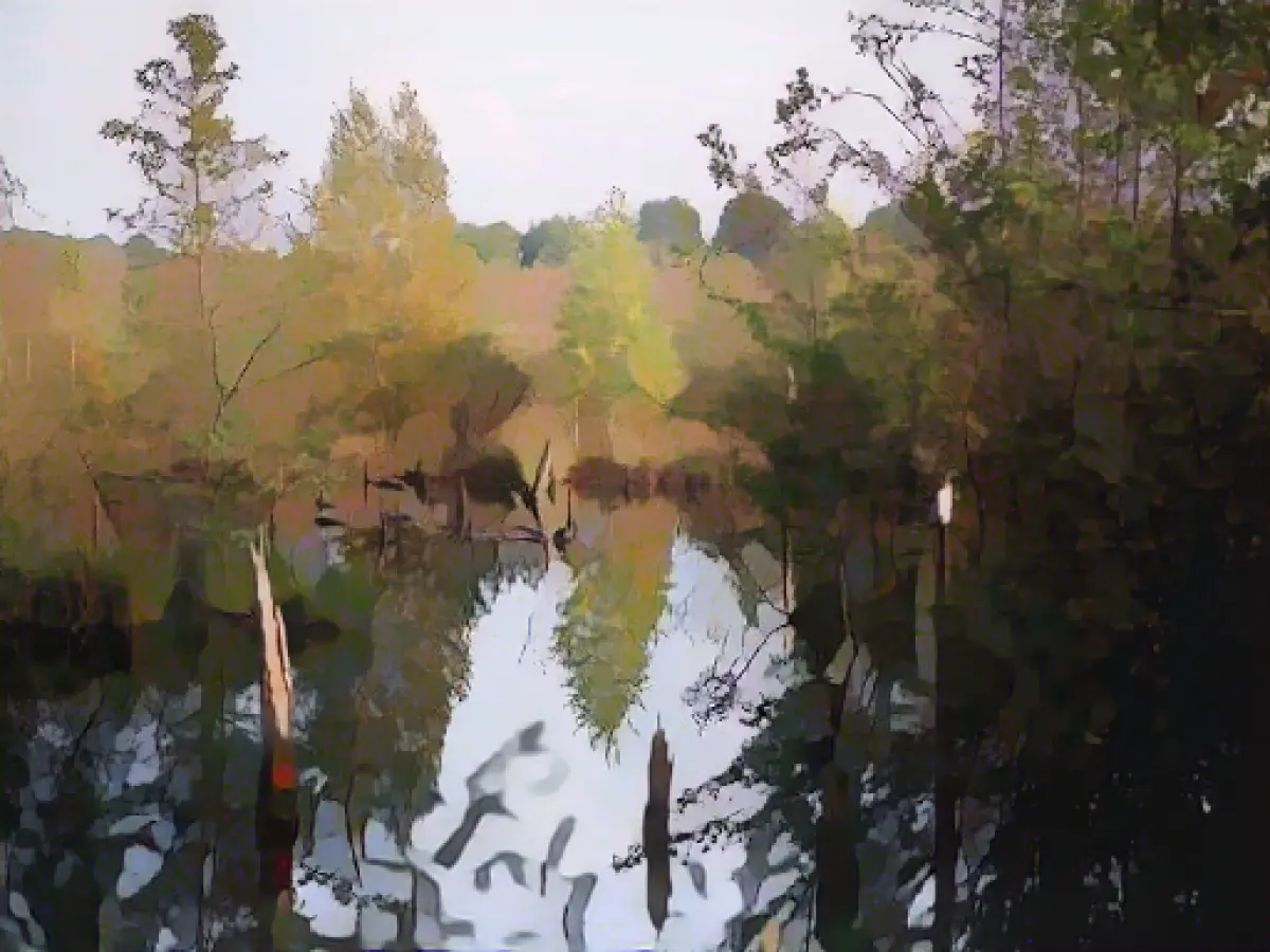 Germany's first municipal moorland protection strategy