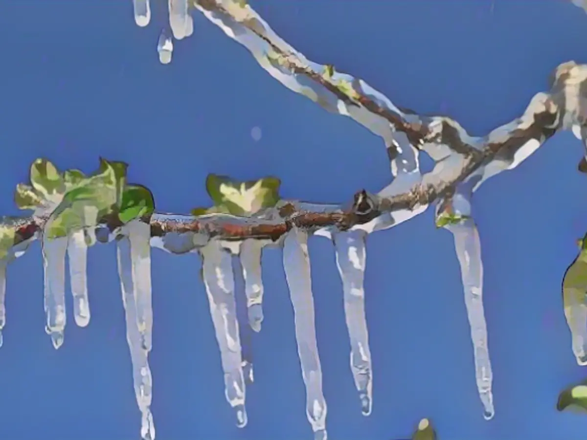 Storm "Niklas" brings freezing cold to Germany