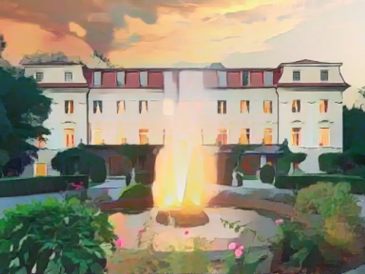 Mozart castle goes under the hammer