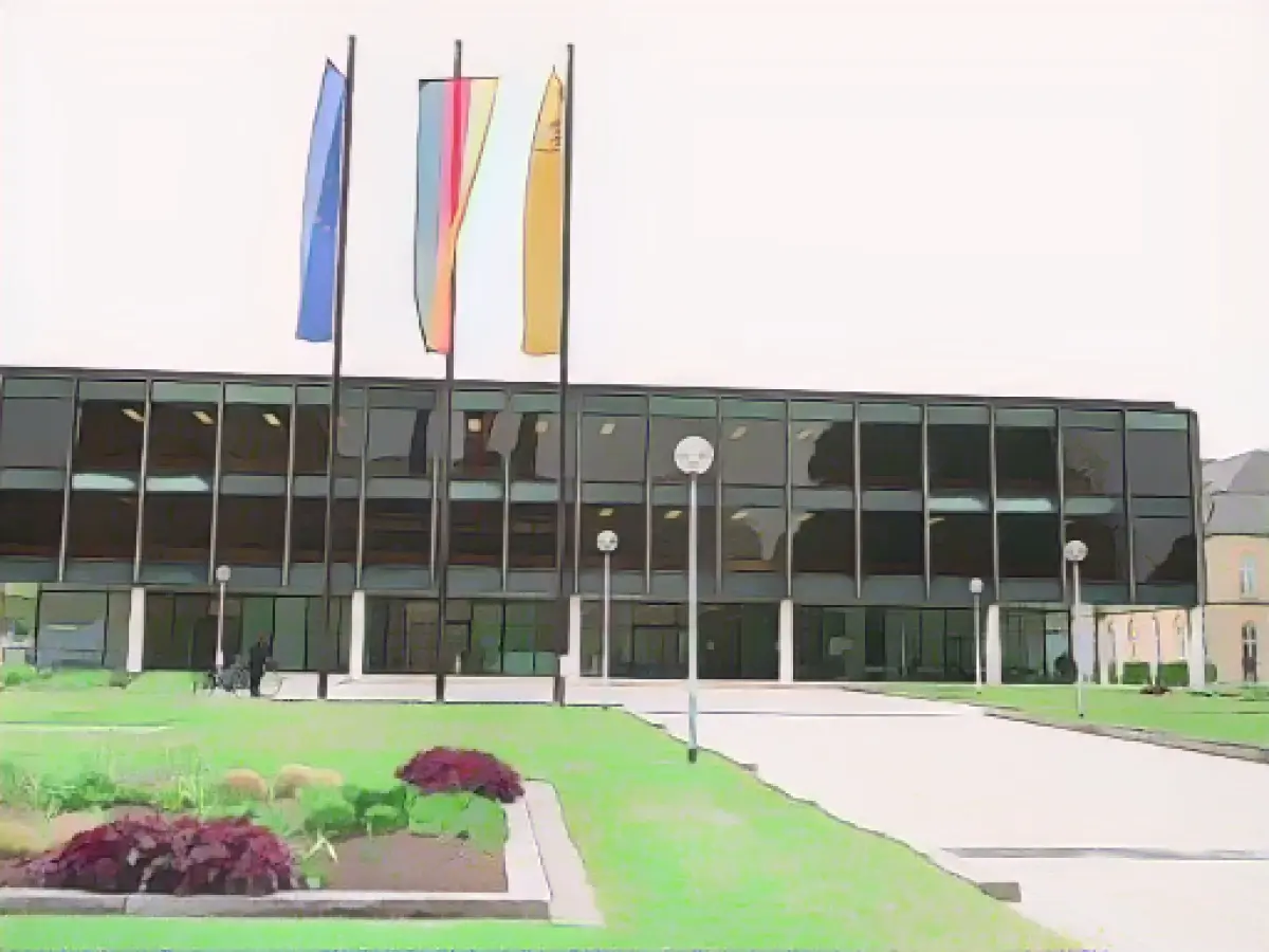 Against the "blackberry thicket": dispute over cutting red tape