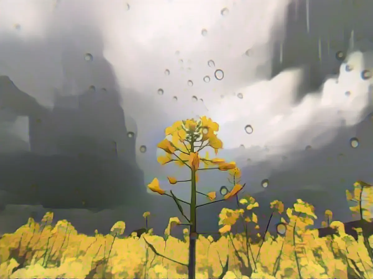 Cloudy and rainy day expected in Saxony