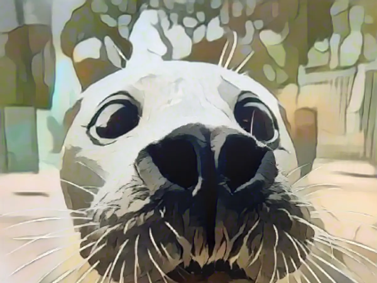 Xaver has closed his googly eyes forever