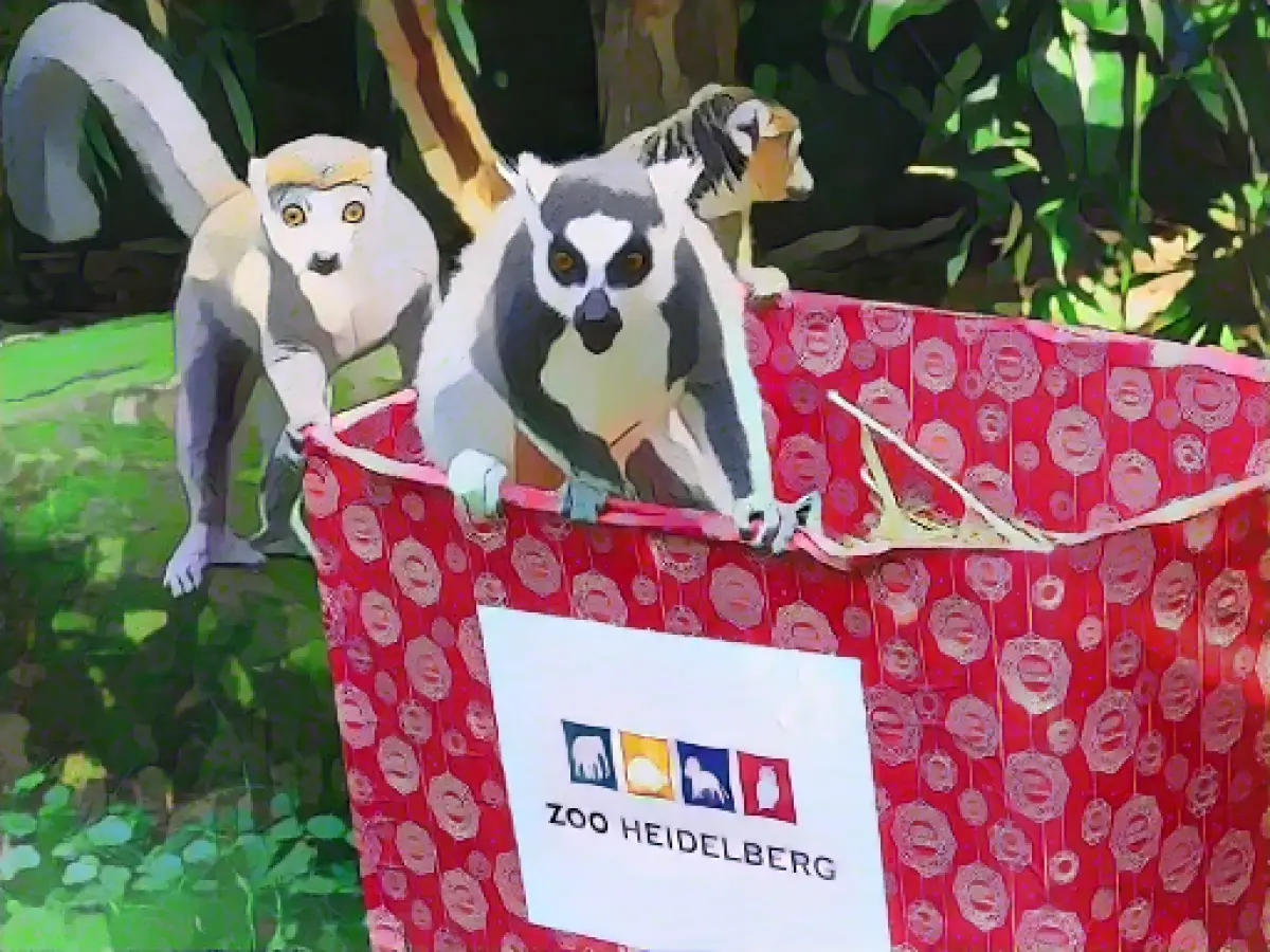 Christmas presents wanted for Heidelberg zoo animals