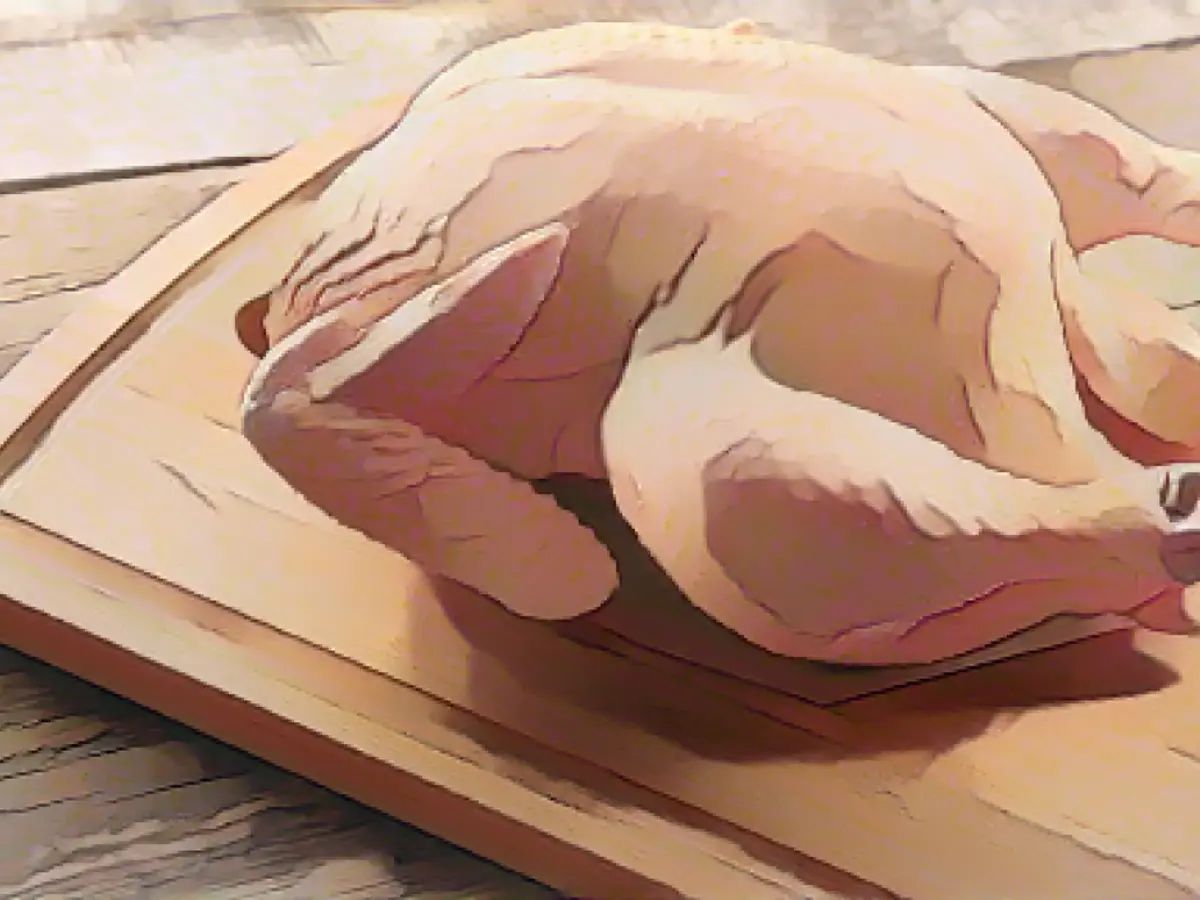 All your Thanksgiving food safety questions have answers