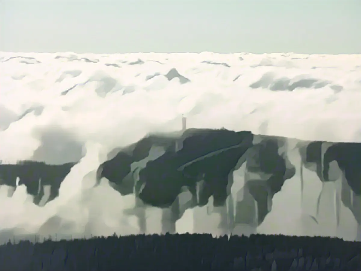 First snow in the Harz Mountains in Lower Saxony this winter