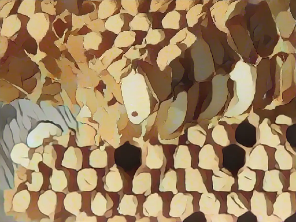 Mites endanger bee colonies: risk of winter losses