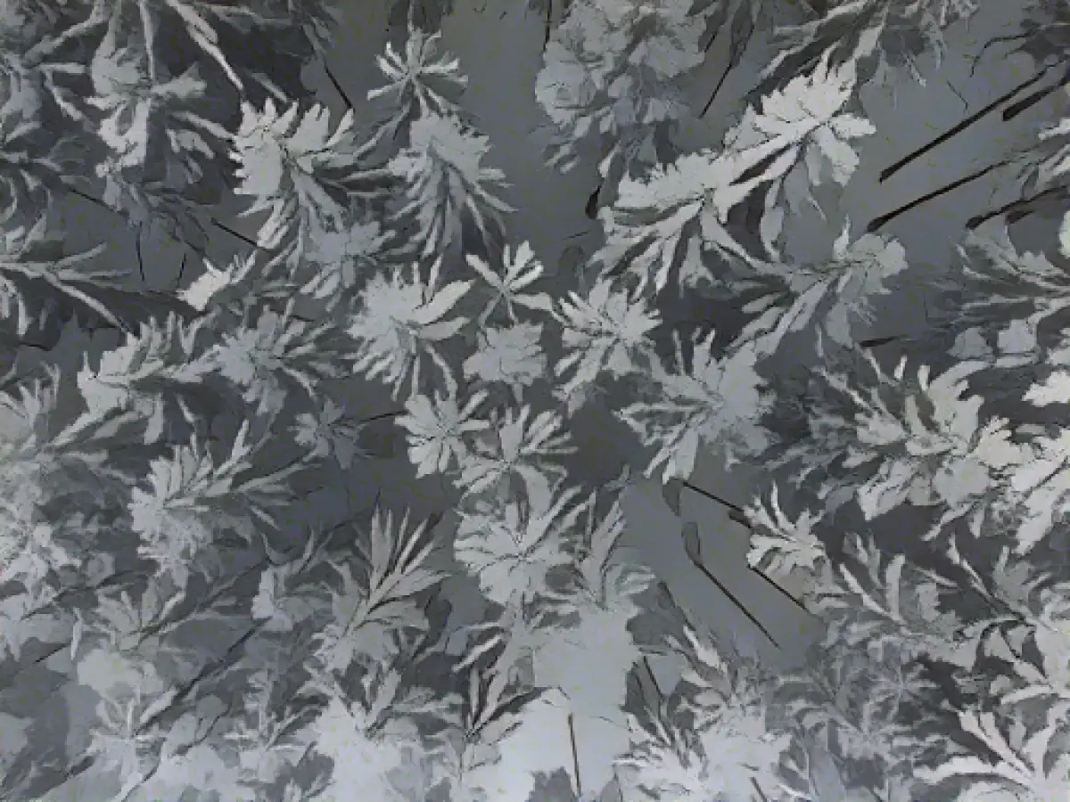 White weekend possible in many parts of Bavaria