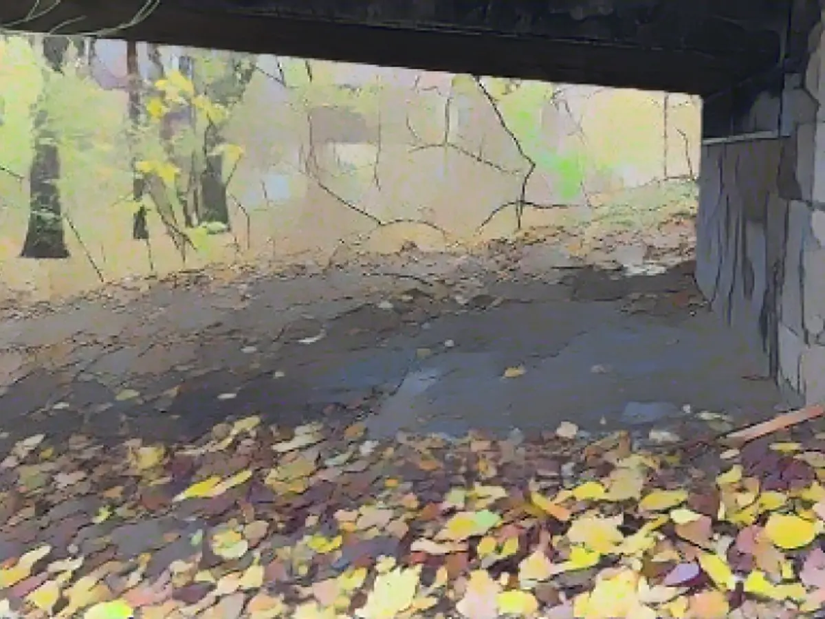 Homeless man burned to death under a bridge