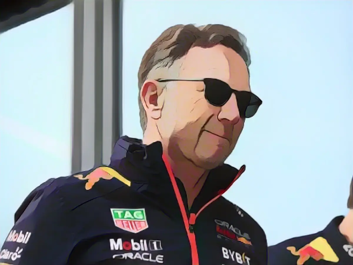 A grin after the turmoil: Horner's Hamilton statement