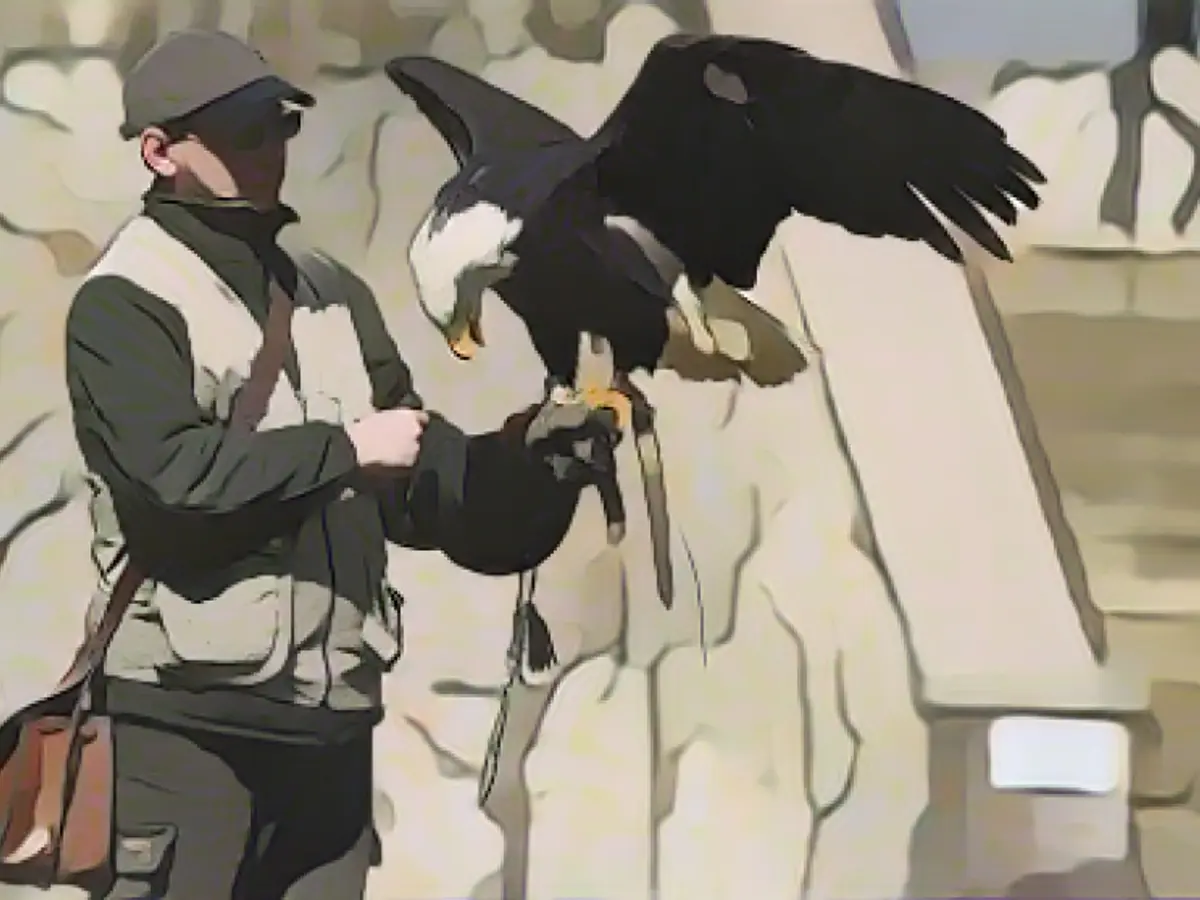 Falconer from Falkenstein takes off