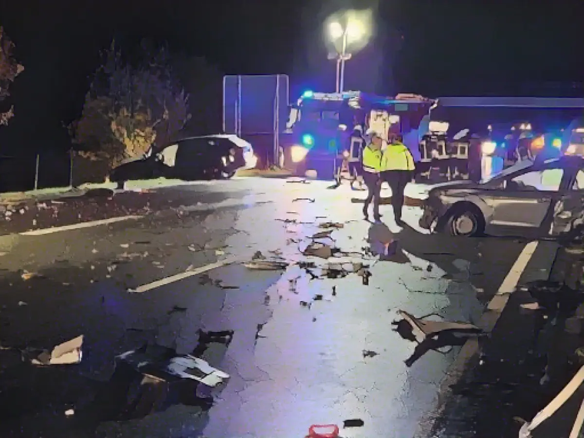 Two dead in accident on A31: car torn apart