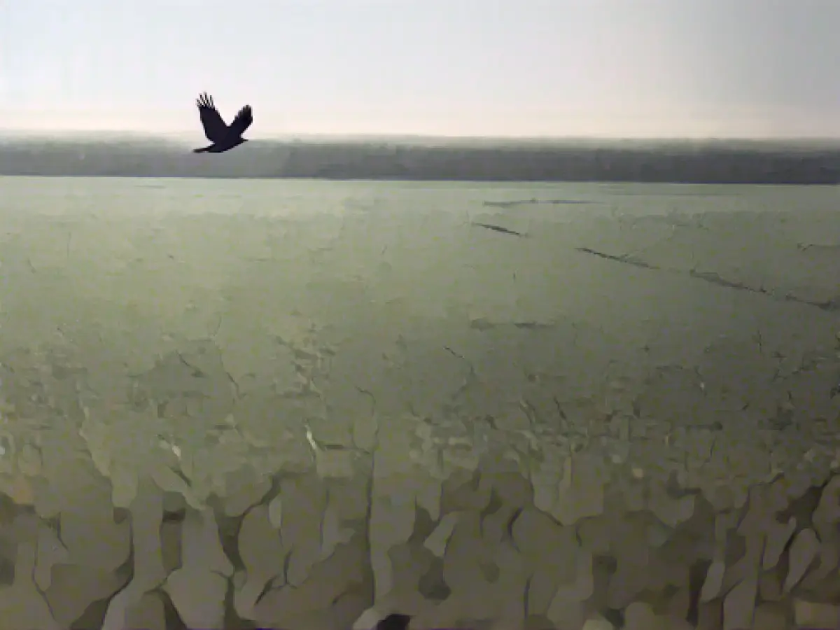 Wet conditions hamper cereal sowing and sugar beet harvest