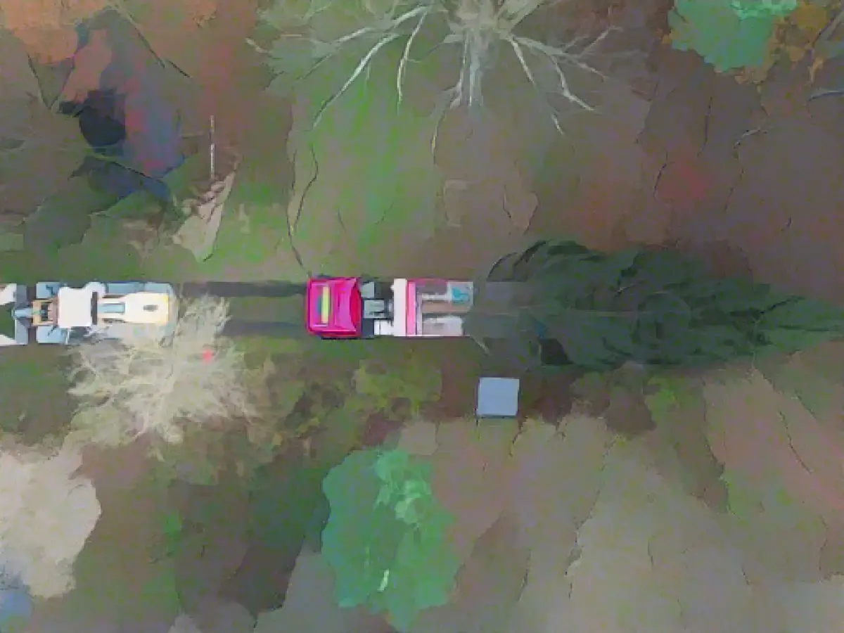 Christmas tree has arrived at the Federal Chancellery