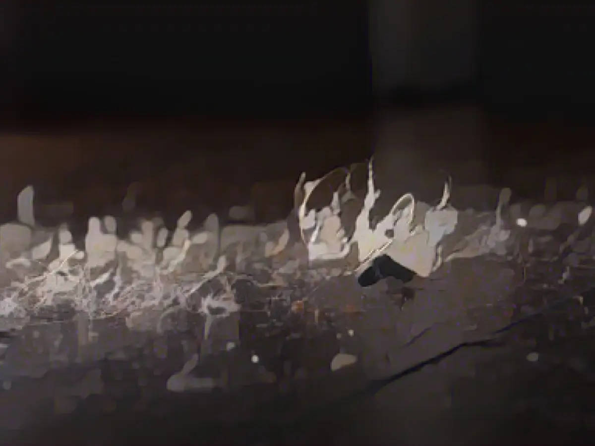 It’s time to take winter allergies more seriously