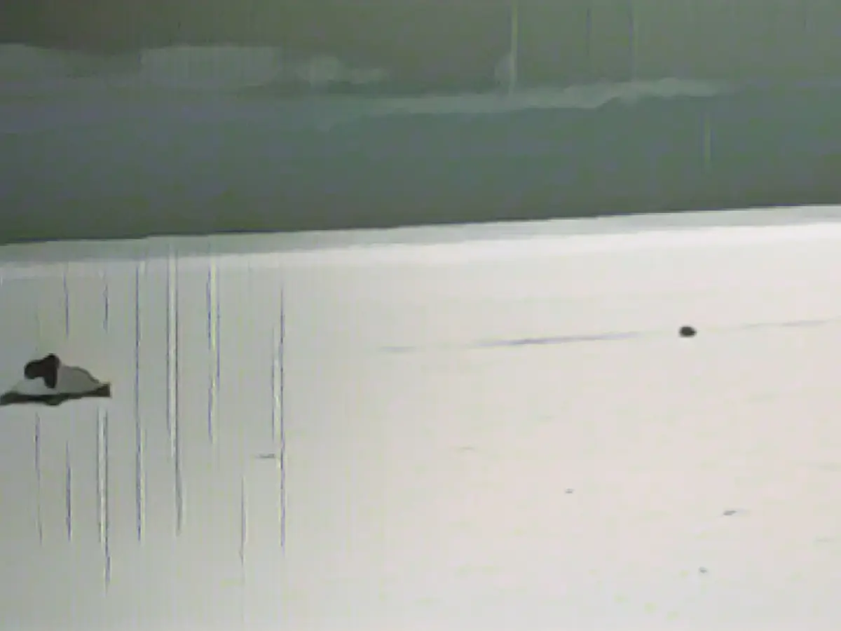 Amber brothers (16-19) rescued from the North Sea