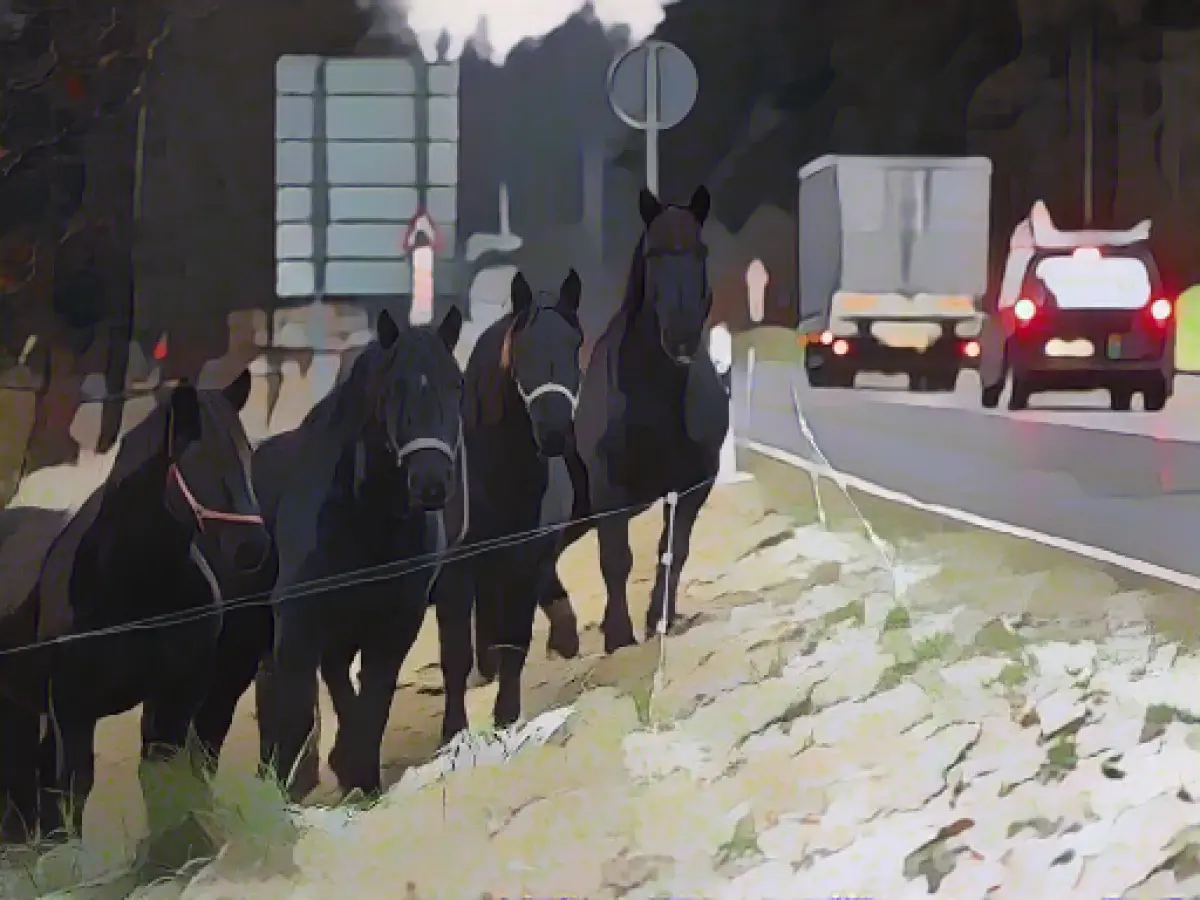 Snow and cold - winter is recommended in Thuringia