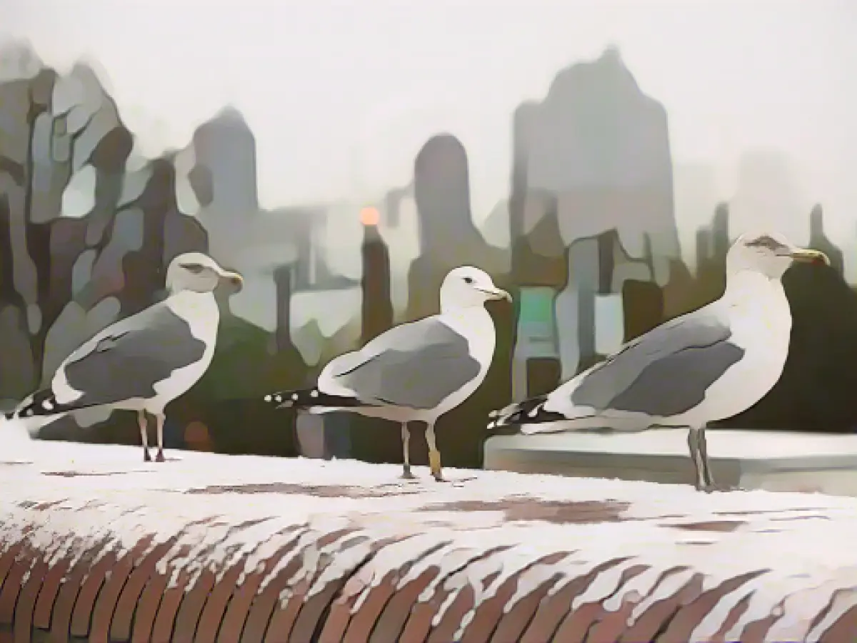 Light snow showers expected in the north