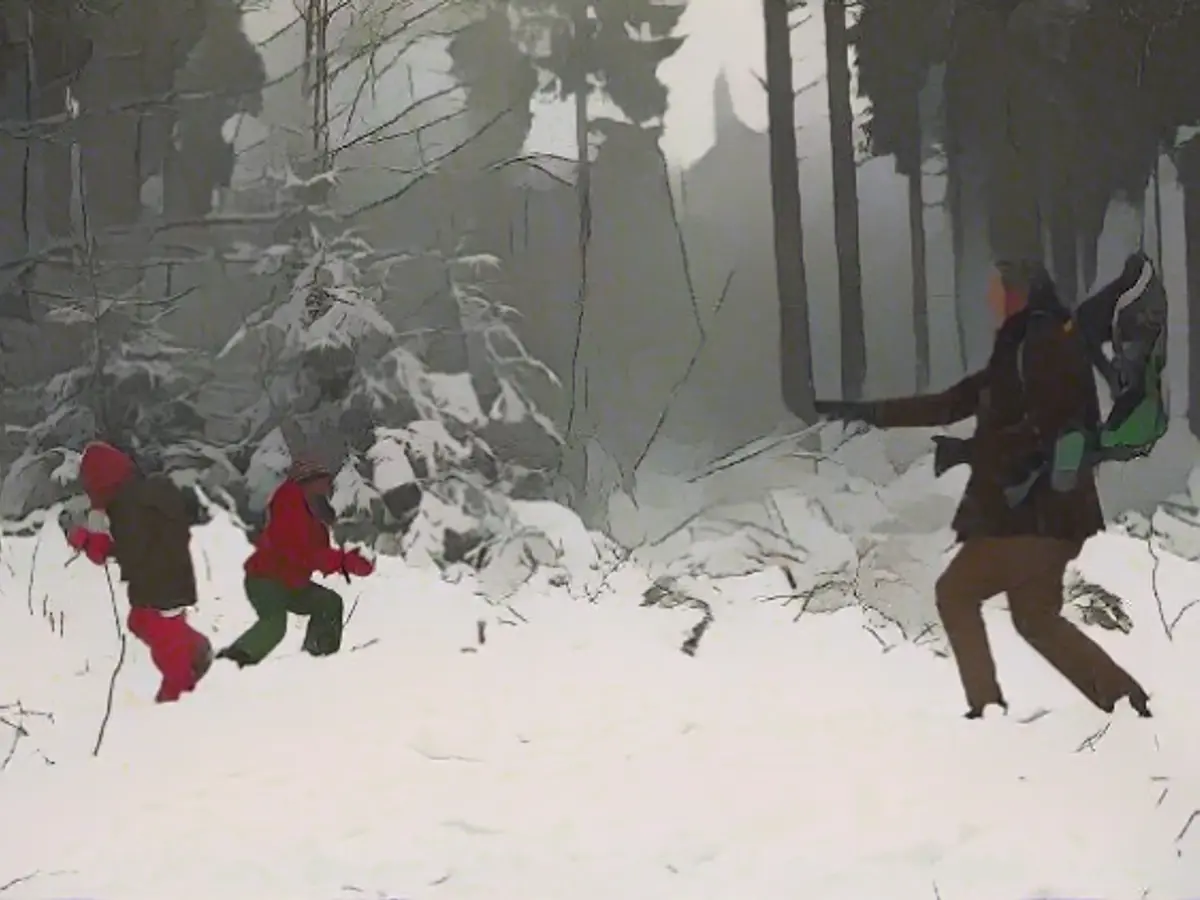 Beaver nights, snow, icy roads - early winter remains