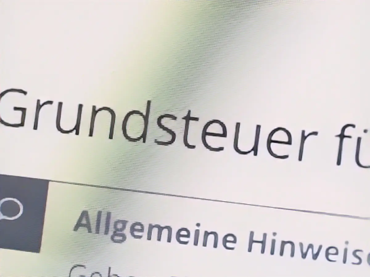 54,000 property tax declarations still missing in Saxony-Anhalt