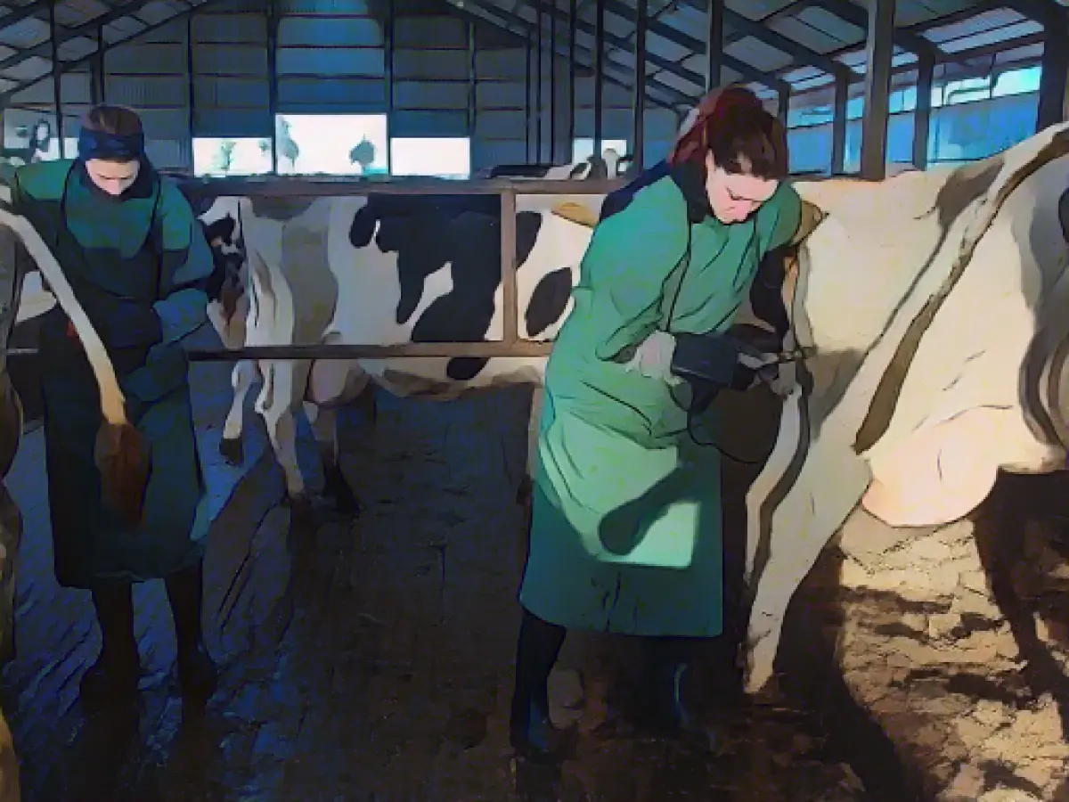 Fewer and fewer veterinary practices in MV: decline in rural areas