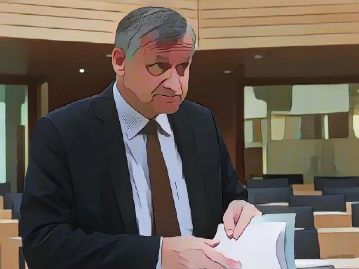 FDP wants to scrutinize subsidies after budget ruling