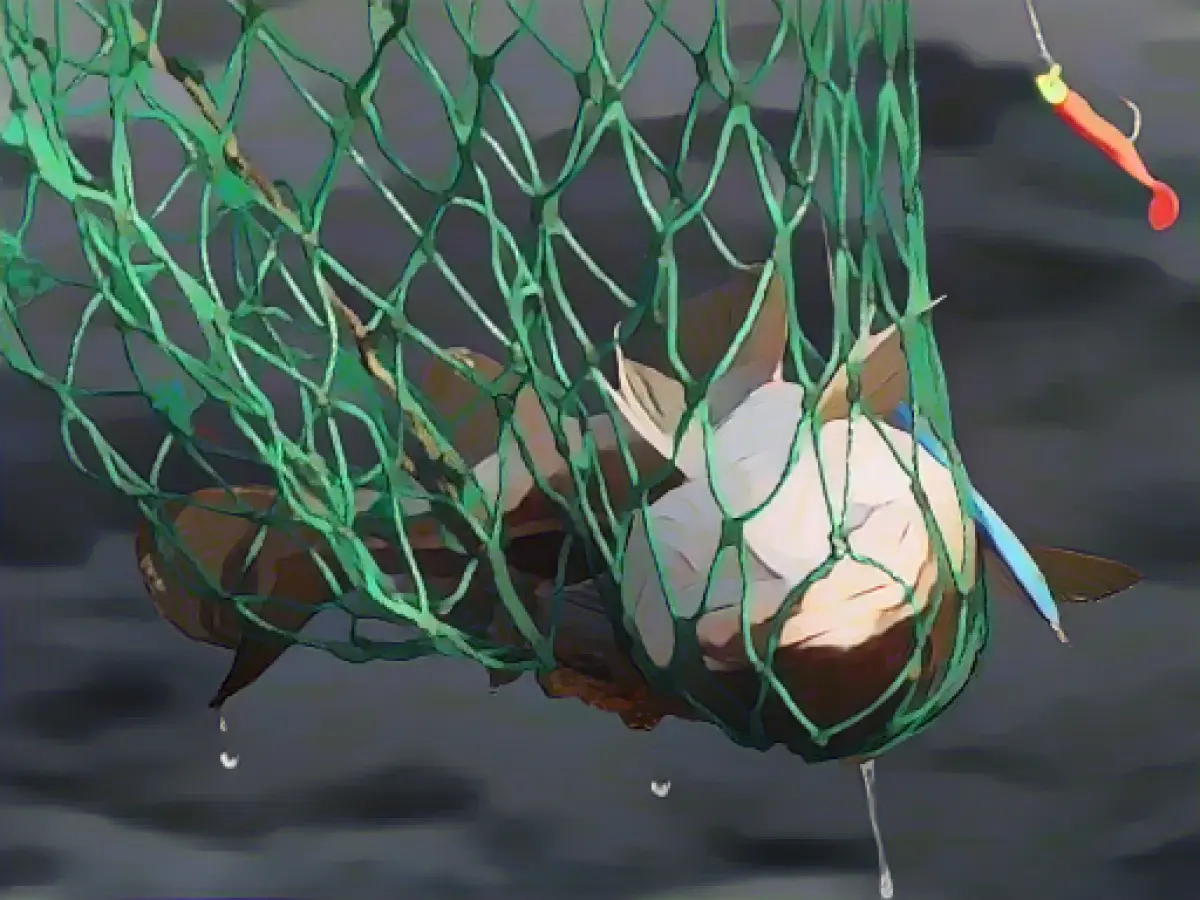 Program for researching the cod decline presented