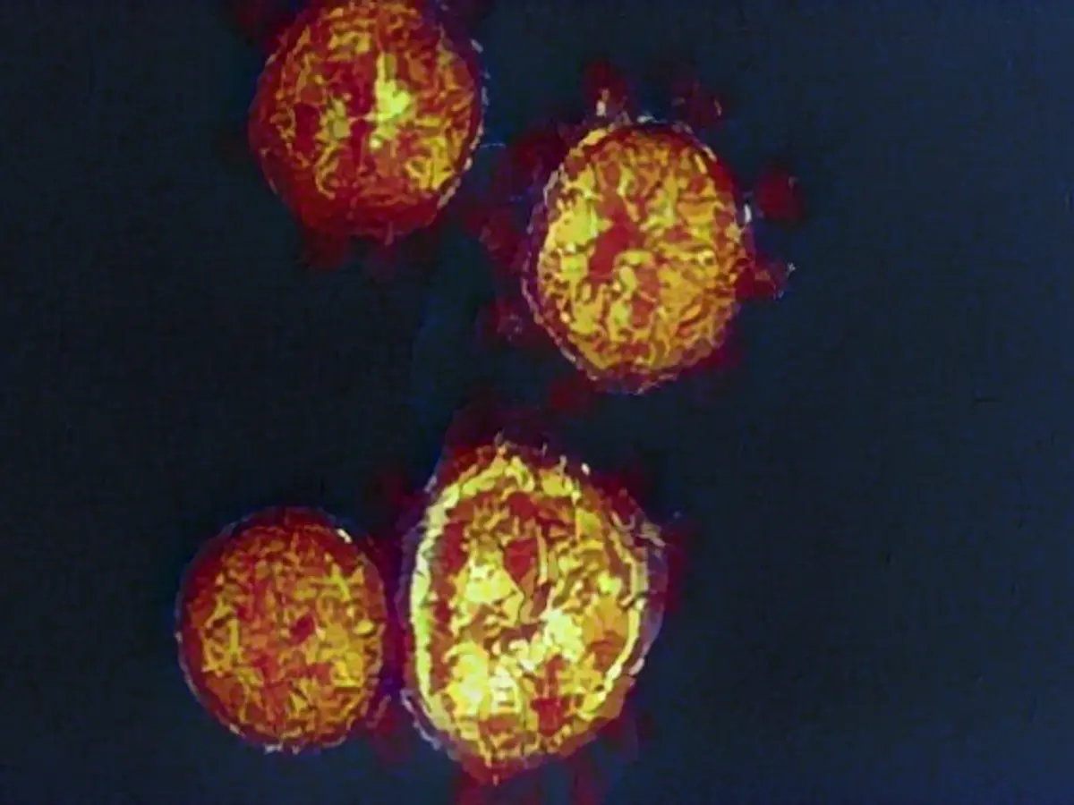 New corona variant is spreading rapidly in the USA