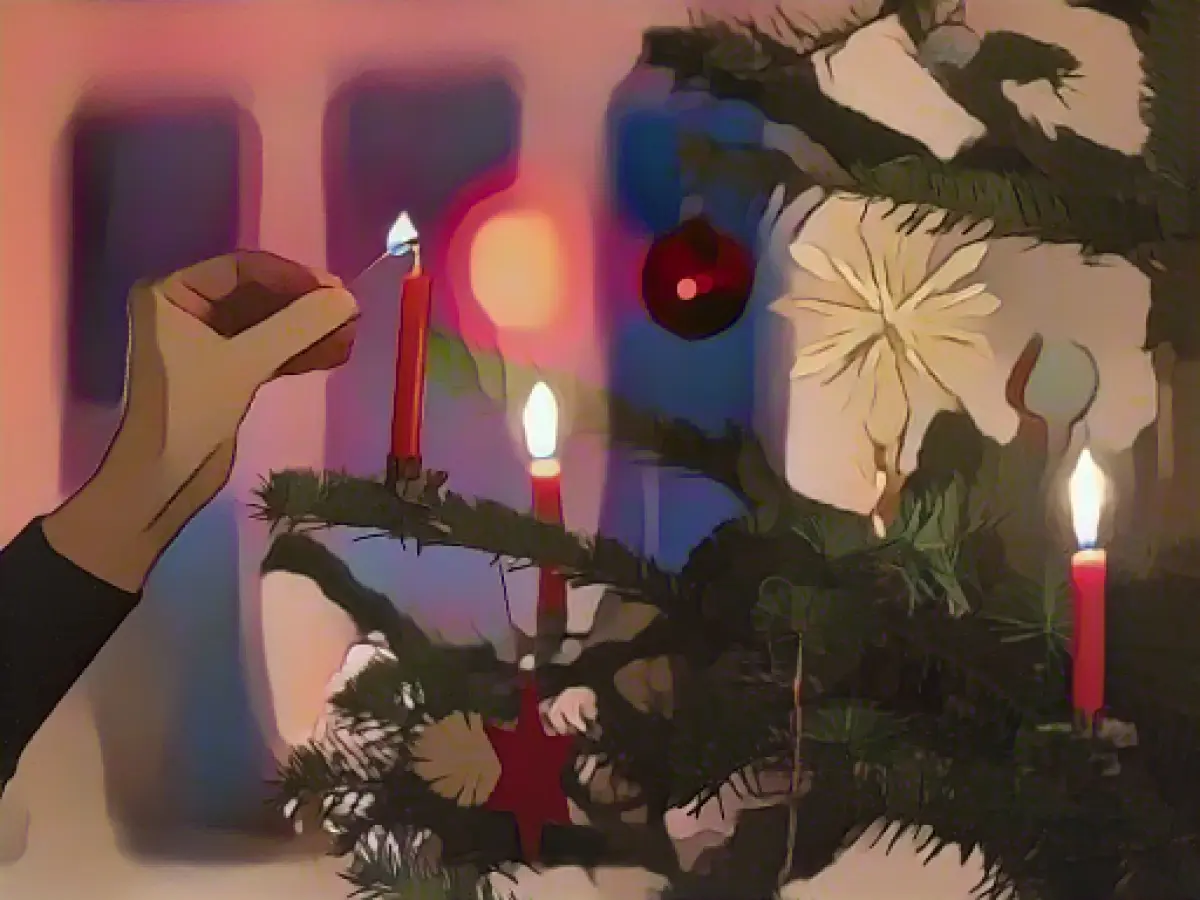 Sale of local Christmas trees launched