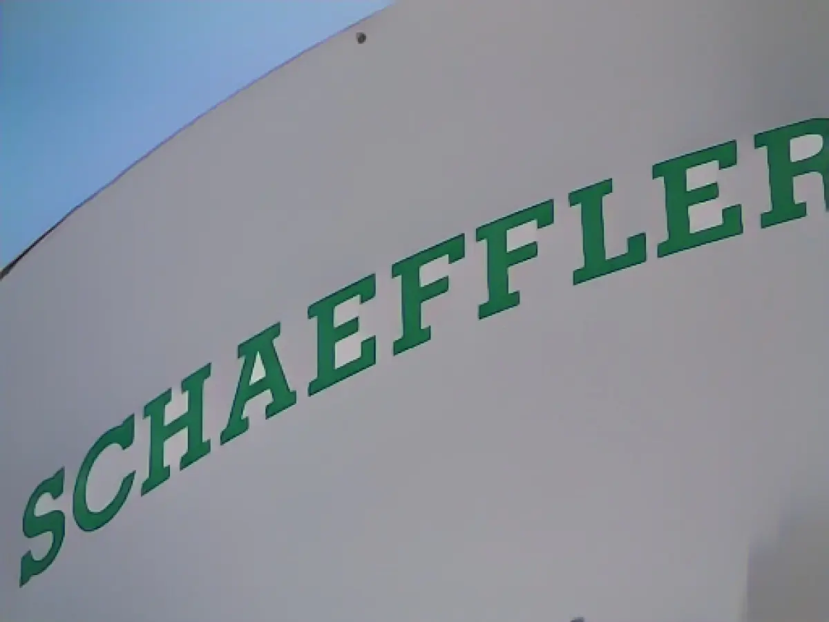 Putin approves sale of Schaeffler plant in Russia