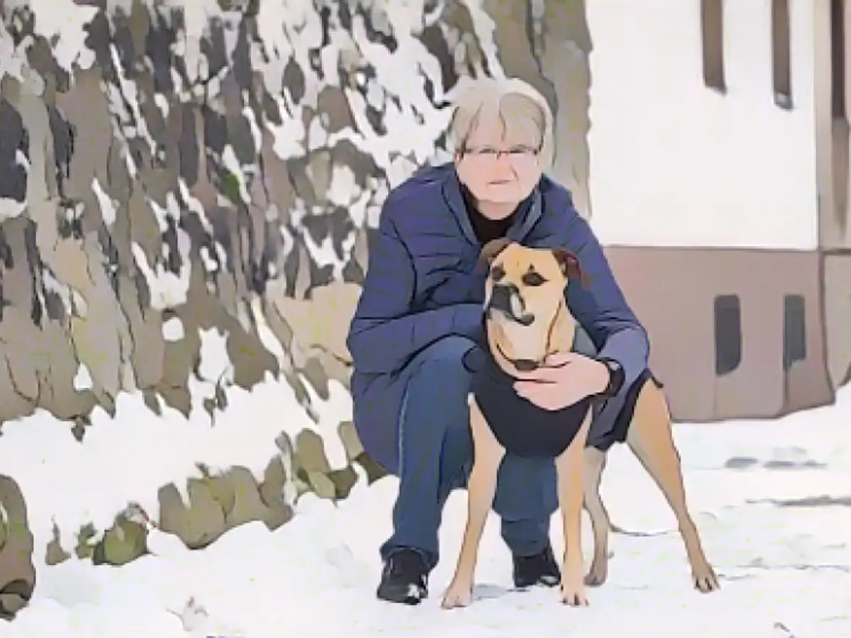 Fighting dog attack on a walkabout