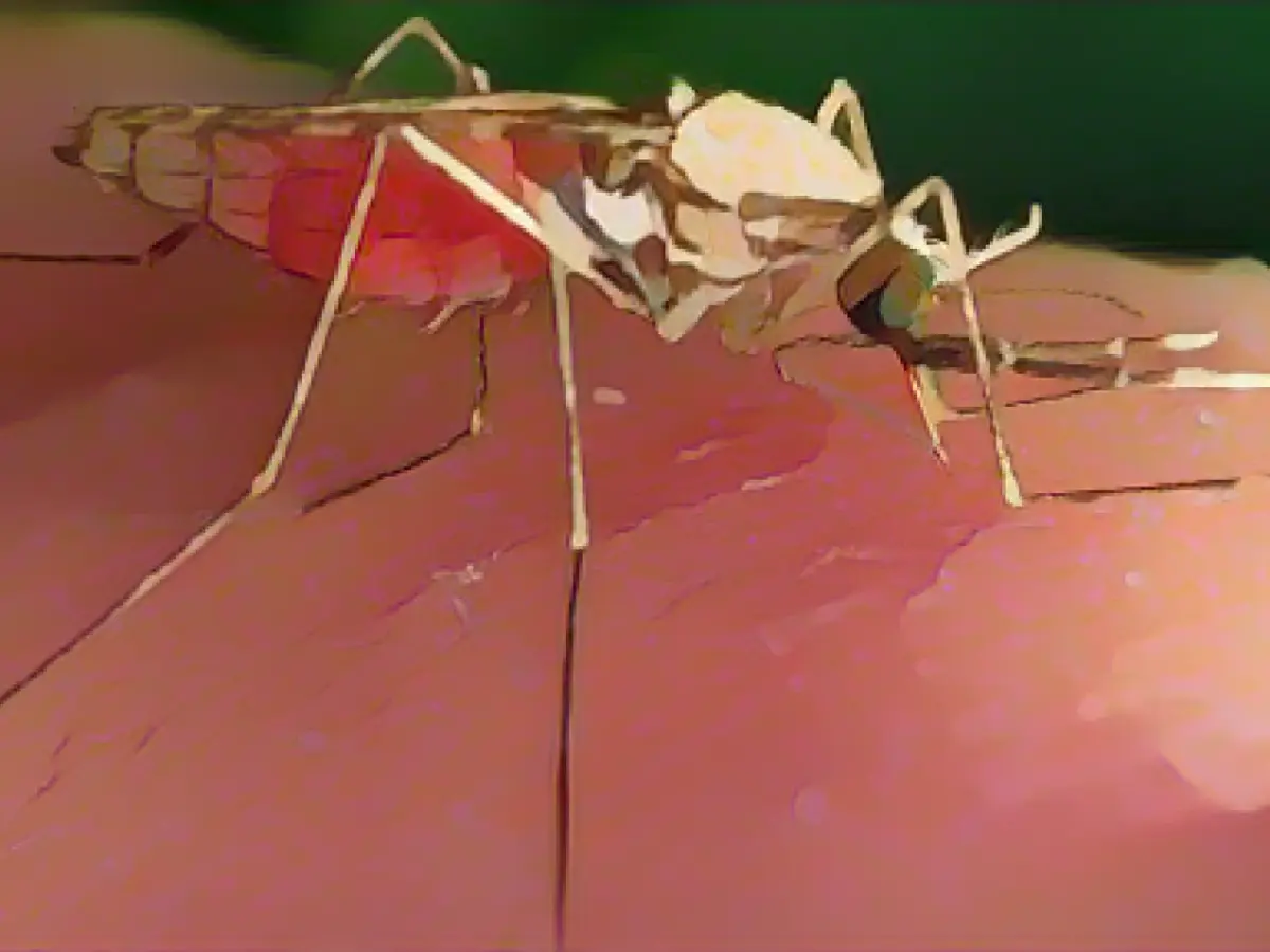 Climate change and resistance hinder the fight against malaria