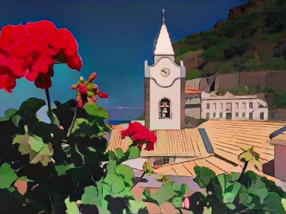 Madeira for digital nomads: come work with us