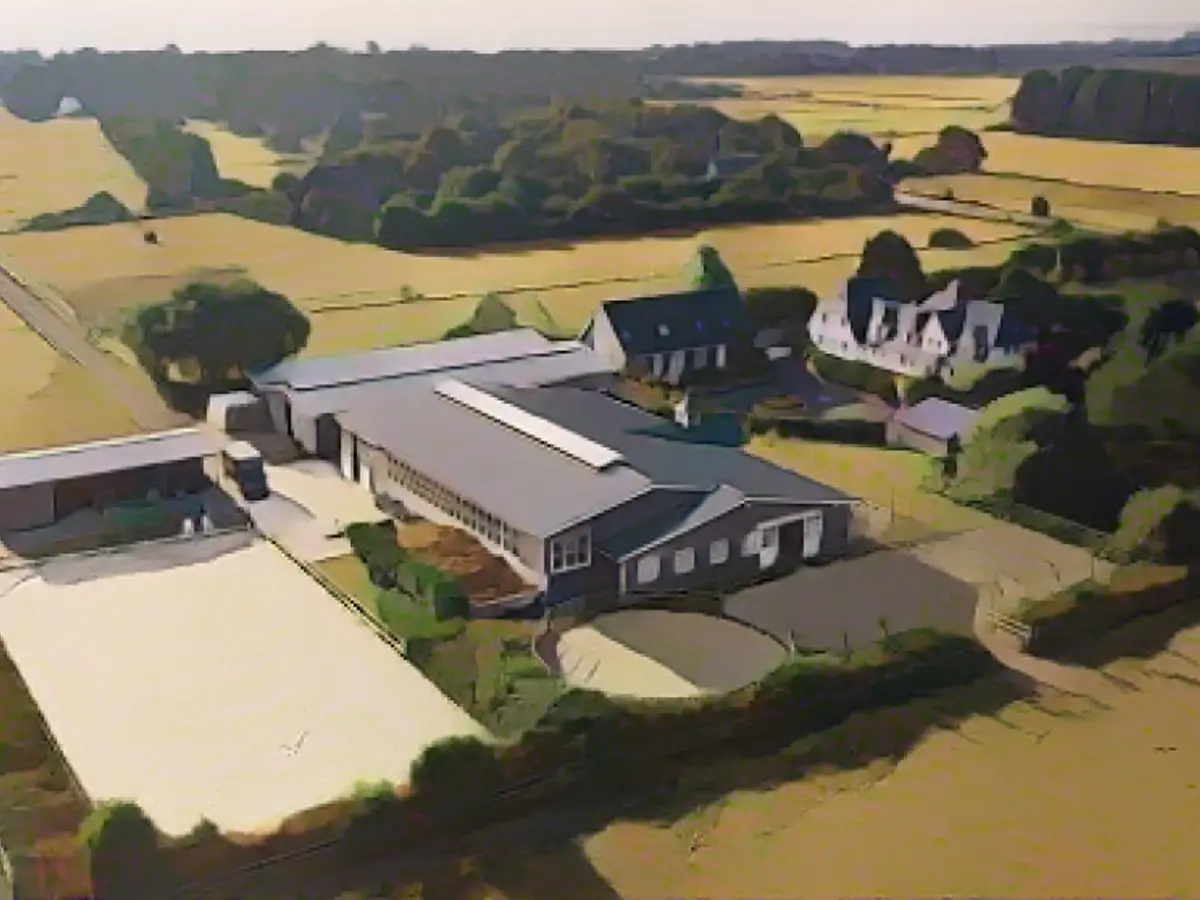 TV vet sells her paradise on Sylt