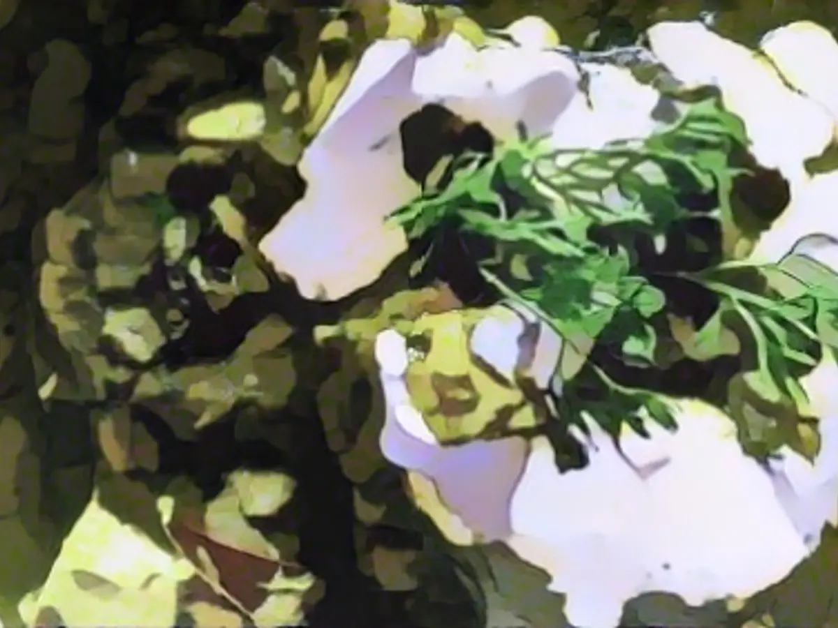 Perfect palak cheese