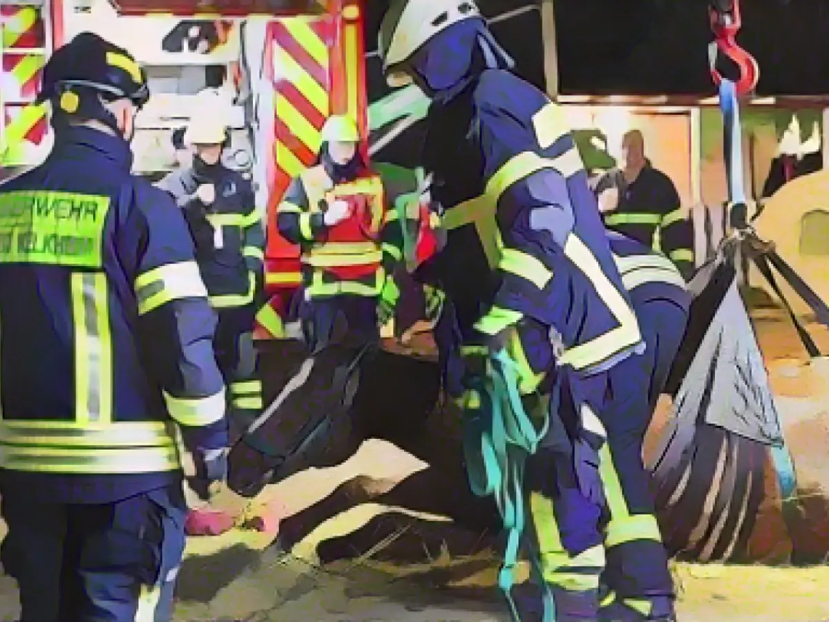 Horse rescued from slurry pit by crane