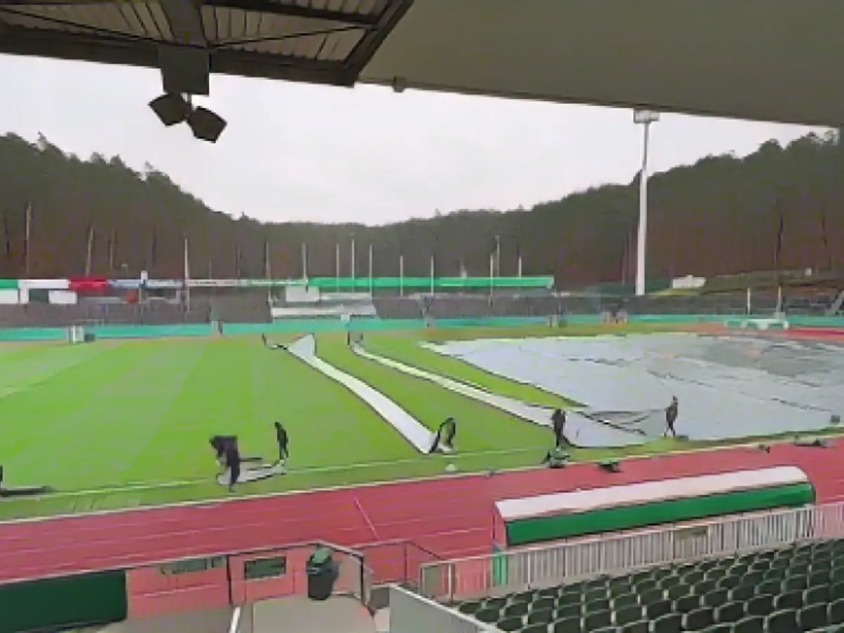 Asparagus foil to save cup game