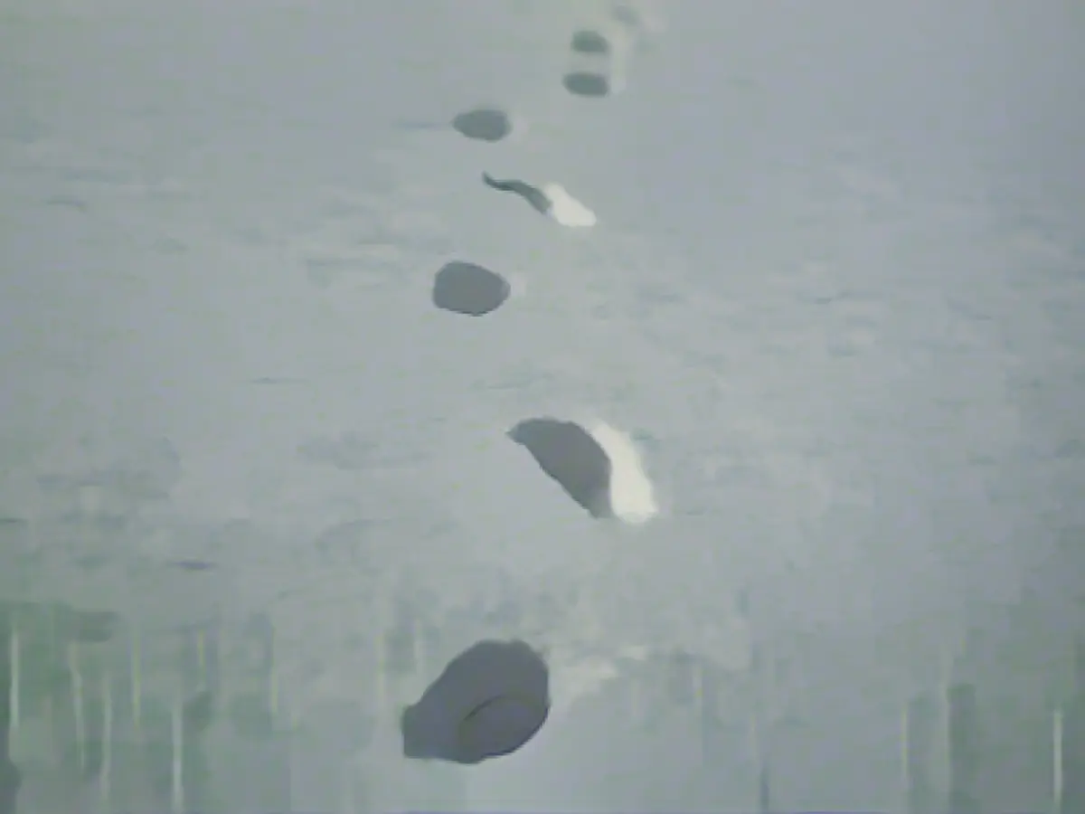 Police catch two perpetrators through tracks in the snow