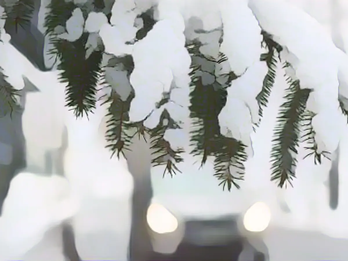 Snow and low temperatures at the start of the new week