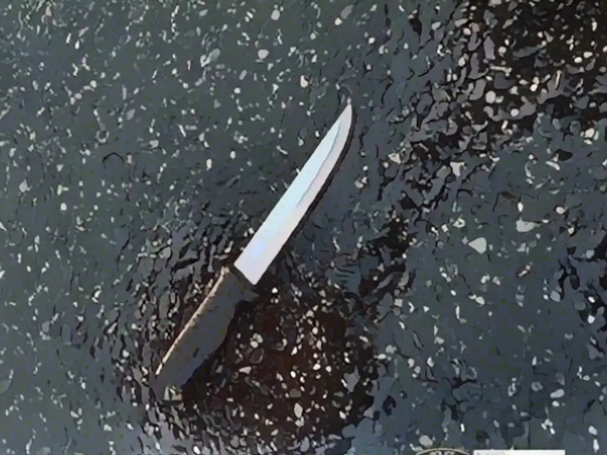 Man stabs four family members to death in New York