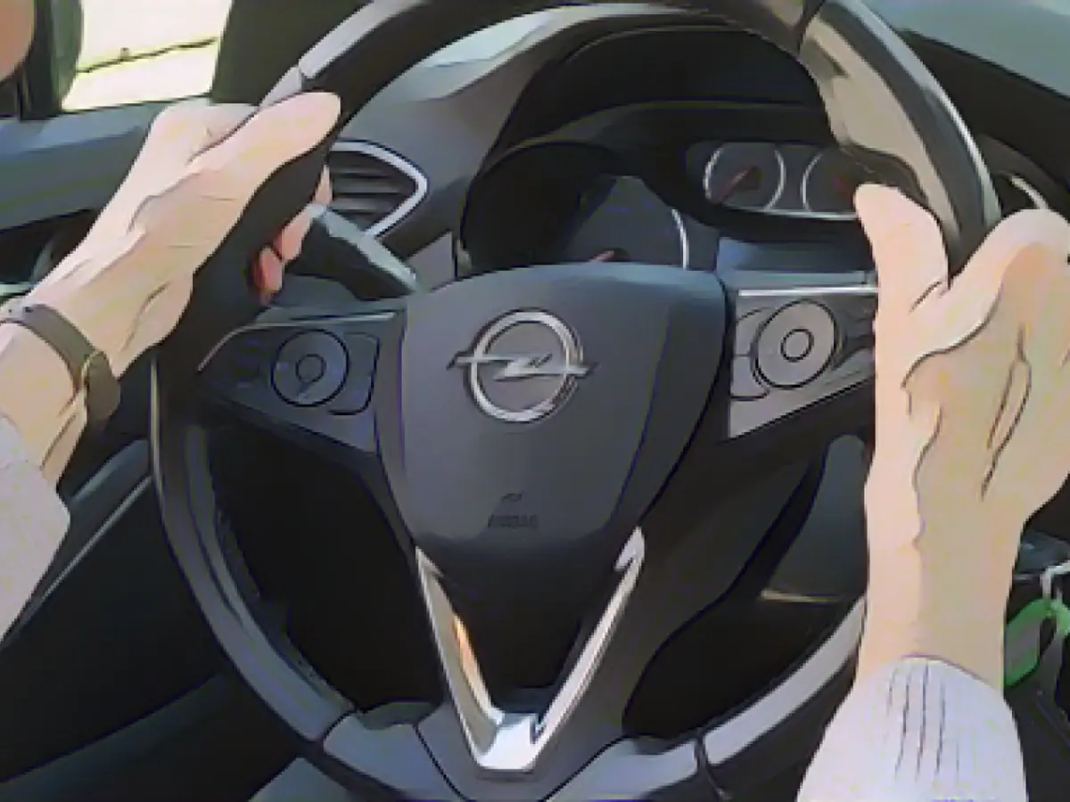 Driving license rules: EU states position themselves