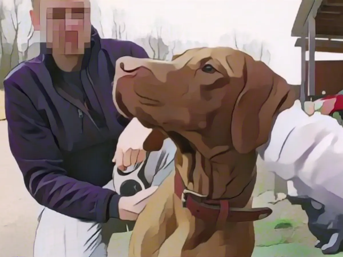 On TV, he played the dog savvy